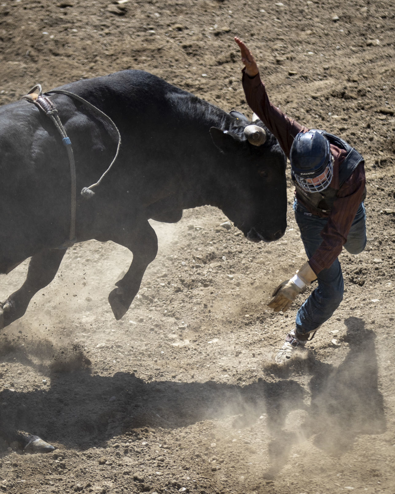Rodeo Roundup